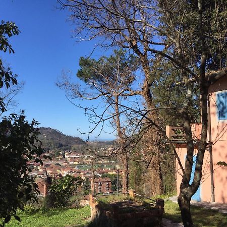 casa oliveto Villa Camaiore Luaran gambar
