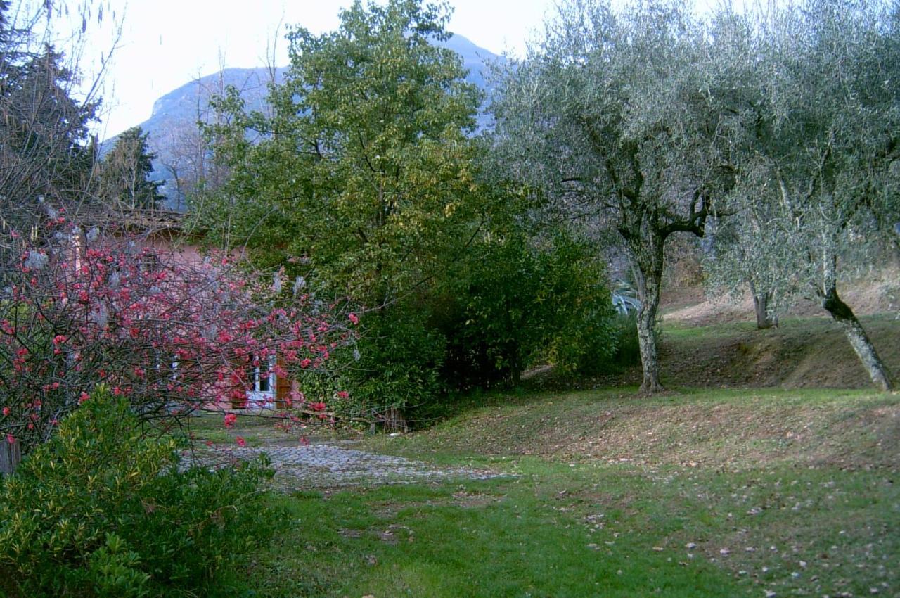 casa oliveto Villa Camaiore Luaran gambar