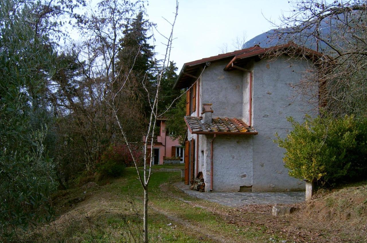 casa oliveto Villa Camaiore Luaran gambar