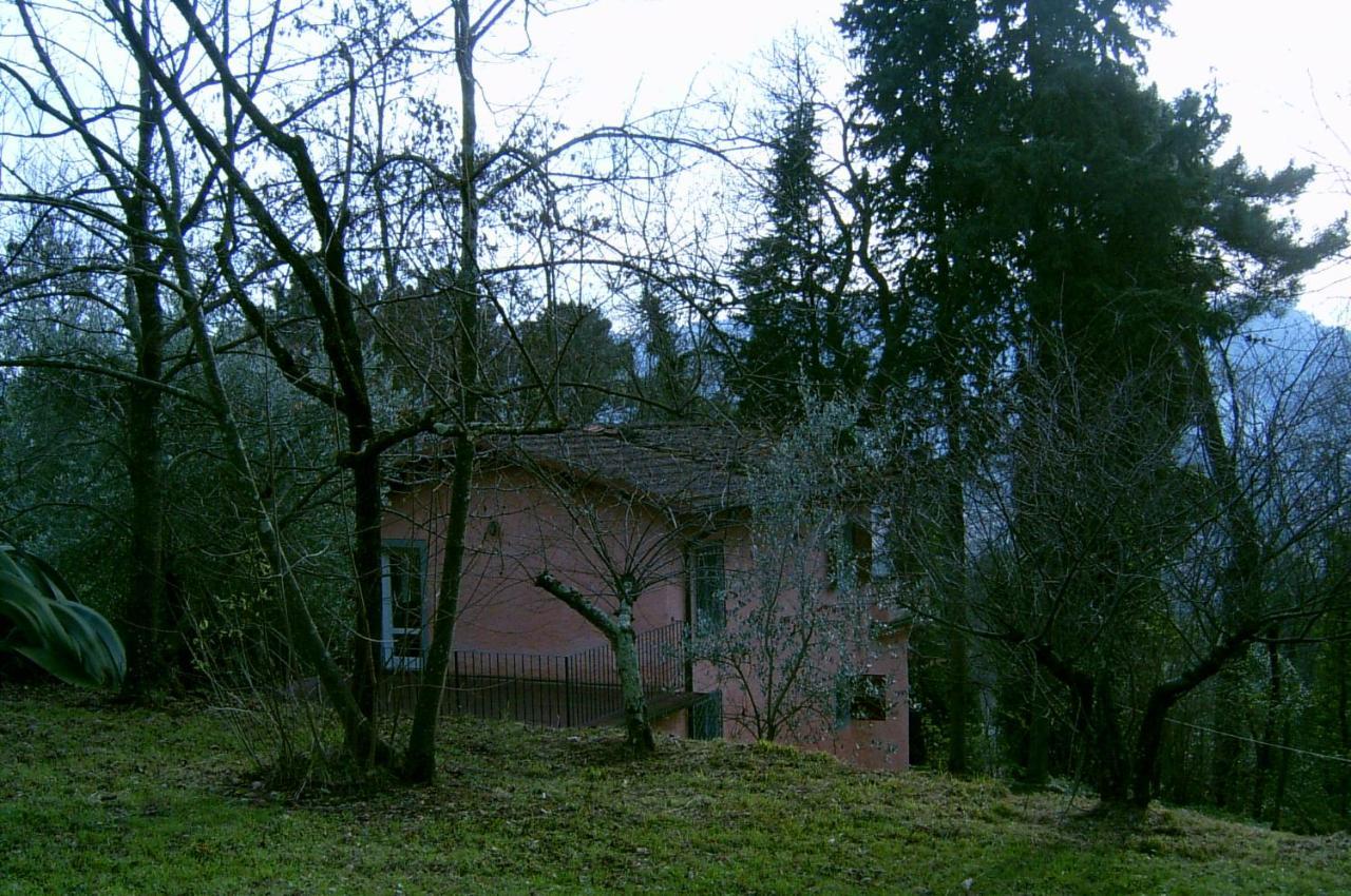 casa oliveto Villa Camaiore Luaran gambar