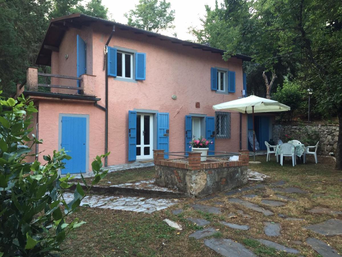 casa oliveto Villa Camaiore Luaran gambar