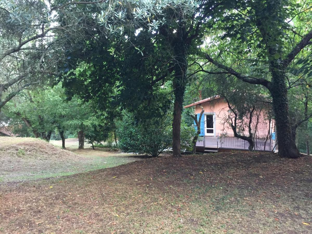 casa oliveto Villa Camaiore Luaran gambar