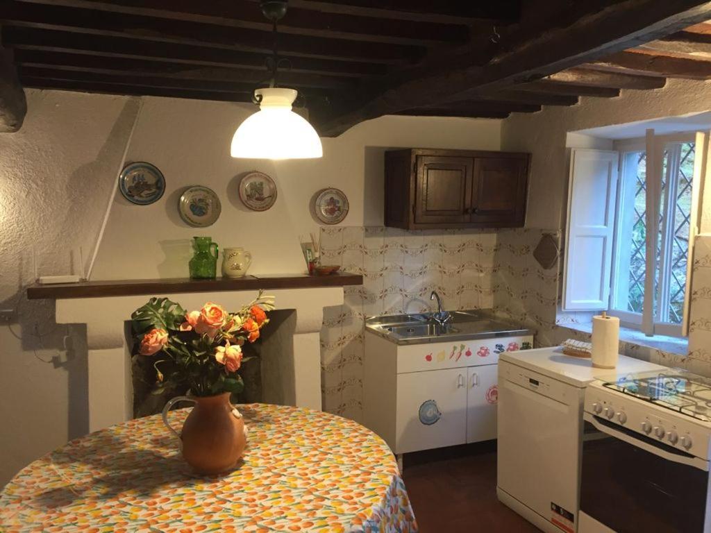 casa oliveto Villa Camaiore Luaran gambar